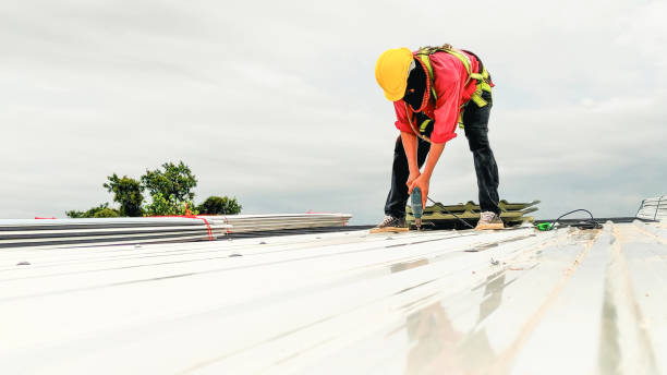 Best Skylight Installation and Repair  in Marcus Hook, PA