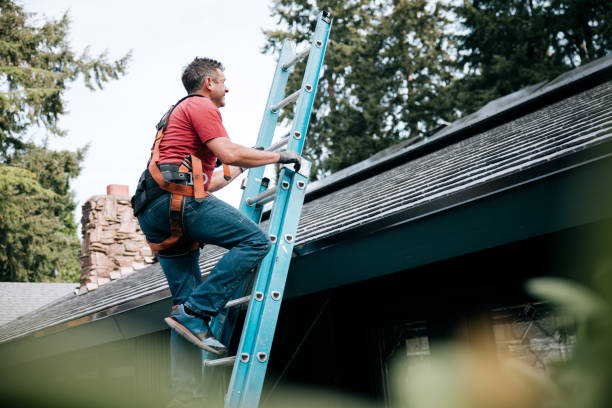 Best Roof Moss and Algae Removal  in Marcus Hook, PA