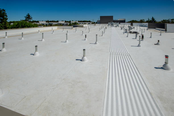 Best Asphalt Shingle Roofing  in Marcus Hook, PA